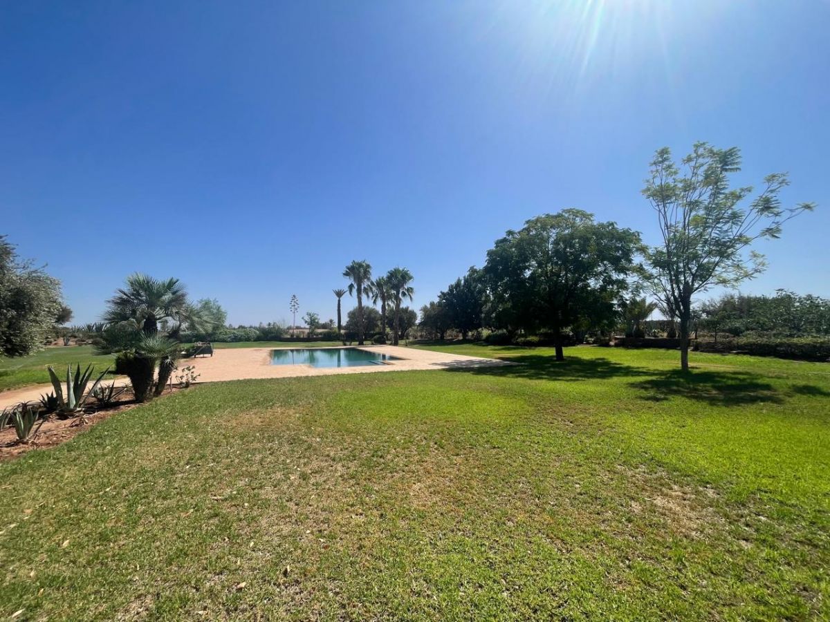 PHOTO-2025-09-10-11-59-31-4