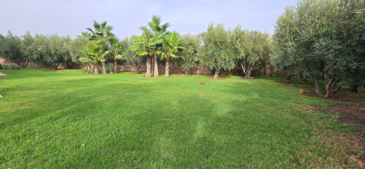 PHOTO-2026-01-09-21-49-37-3