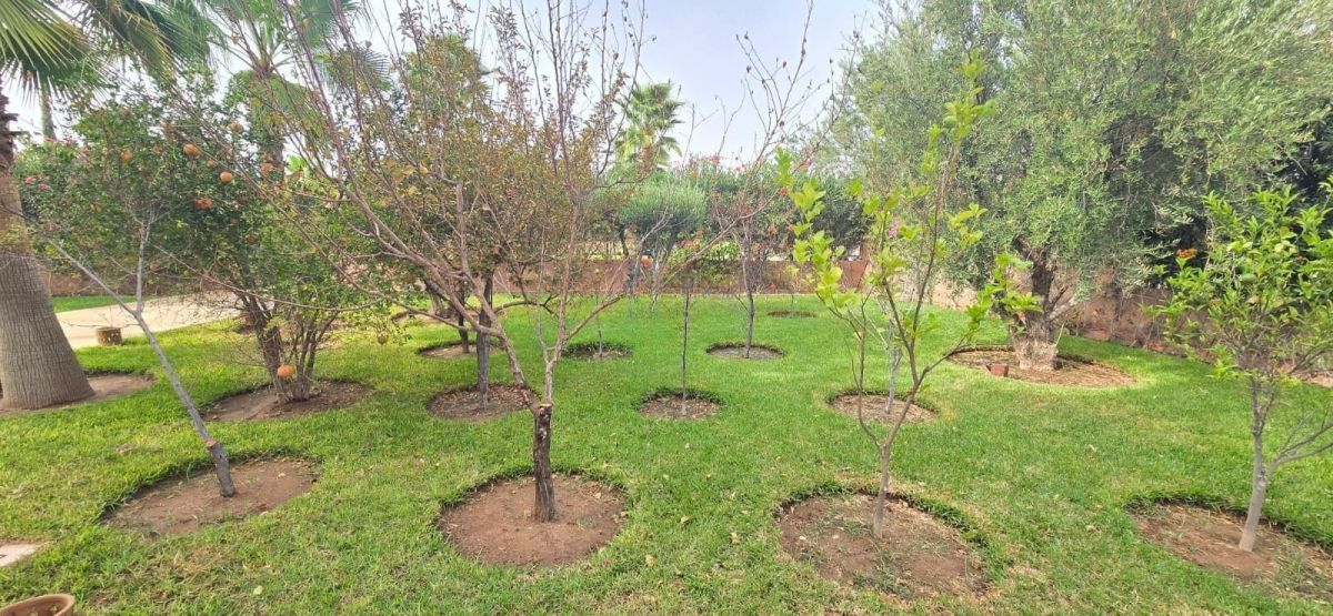 PHOTO-2026-01-09-21-49-37-4