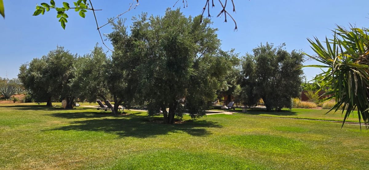 jardin marrakech