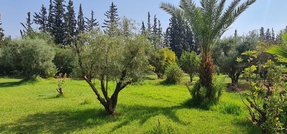 parc route de ouarzazate Marrakech
