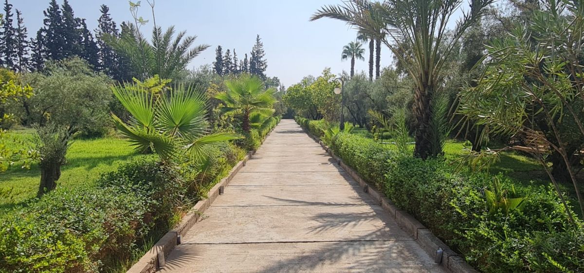 PHOTO-2026-01-29-13-53-07