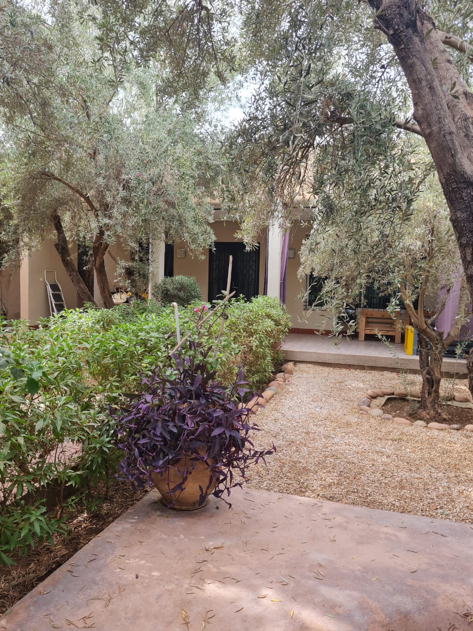 jardin marrakech route de Ouarzazate